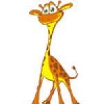 Рисунок профиля (ЖирафА)